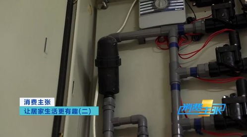 纸上种菜、海绵栽花 科技让在家种菜更轻松，楼宇智能化工程赋能未来